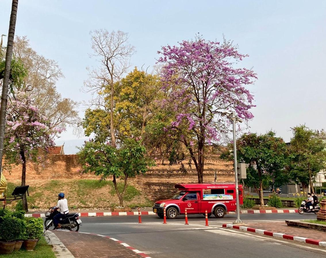 Triple Palms House Otel Chiang Mai Dış mekan fotoğraf